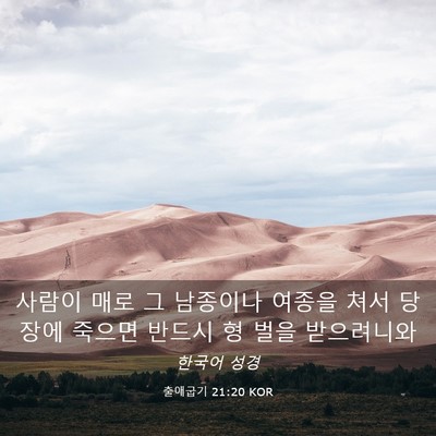 Picture 03 - 출애굽기 21:20 KOR - 사람이 매로 그 남종이나 여종을 - Bible Verse Picture