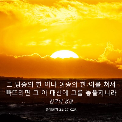 Picture 03 - 출애굽기 21:27 KOR - 그 남종의 한 이나 여종의 한 이를 - Bible Verse Picture