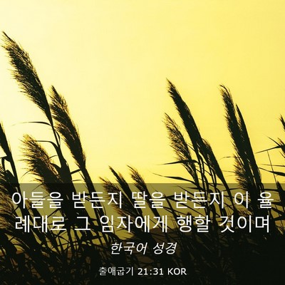 Picture 03 - 출애굽기 21:31 KOR - 아들을 받든지 딸을 받든지 이 - Bible Verse Picture