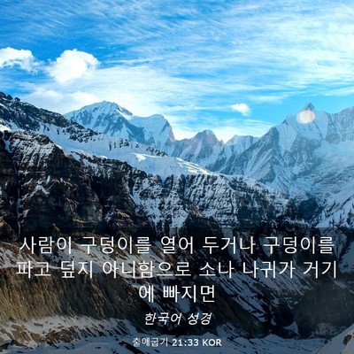 Picture 03 - 출애굽기 21:33 KOR - 사람이 구덩이를 열어 두거나 - Bible Verse Picture