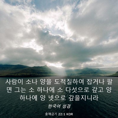 Picture 03 - 출애굽기 22:1 KOR - 사람이 소나 양을 도적질하여 잡거나 - Bible Verse Picture