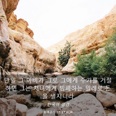 Picture 03 - 출애굽기 22:17 KOR - 만일 그 아비가 그로 그에게 주기를 - Bible Verse Picture