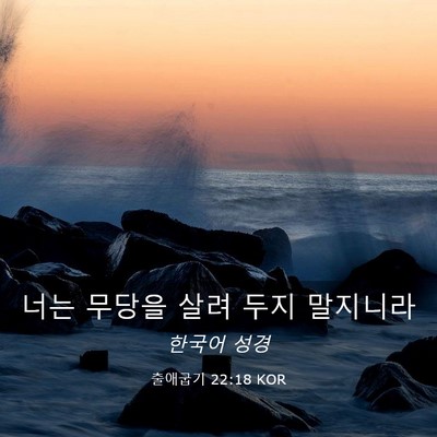 Picture 03 - 출애굽기 22:18 KOR - 너는 무당을 살려 두지 - Bible Verse Picture