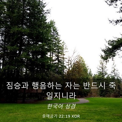 Picture 03 - 출애굽기 22:19 KOR - 짐승과 행음하는 자는 반드시 - Bible Verse Picture