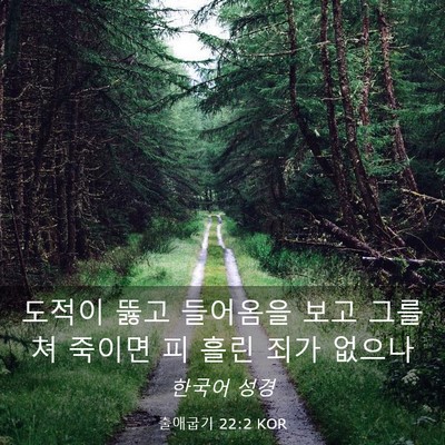 Picture 03 - 출애굽기 22:2 KOR - 도적이 뚫고 들어옴을 보고 그를 쳐 - Bible Verse Picture