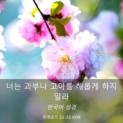 Picture 03 - 출애굽기 22:22 KOR - 너는 과부나 고아를 해롭게 하지 - Bible Verse Picture