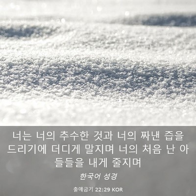 Picture 03 - 출애굽기 22:29 KOR - 너는 너의 추수한 것과 너의 짜낸 - Bible Verse Picture