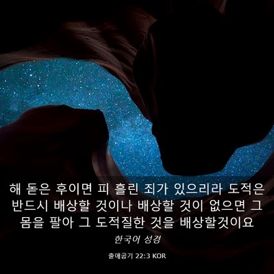 Picture 03 - 출애굽기 22:3 KOR - 해 돋은 후이면 피 흘린 죄가 - Bible Verse Picture