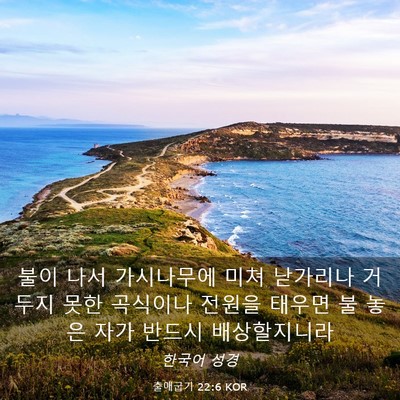 Picture 03 - 출애굽기 22:6 KOR - 불이 나서 가시나무에 미쳐 낟가리나 - Bible Verse Picture