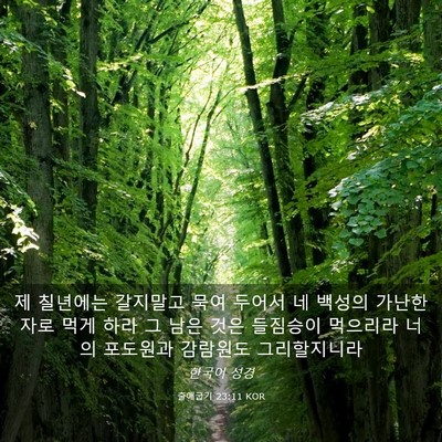 Picture 03 - 출애굽기 23:11 KOR - 제 칠년에는 갈지말고 묵여 두어서 - Bible Verse Picture