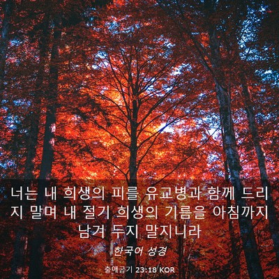 Picture 03 - 출애굽기 23:18 KOR - 너는 내 희생의 피를 유교병과 함께 - Bible Verse Picture