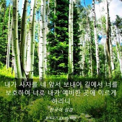 Picture 03 - 출애굽기 23:20 KOR - 내가 사자를 네 앞서 보내어 길에서 - Bible Verse Picture