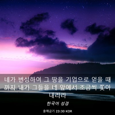Picture 03 - 출애굽기 23:30 KOR - 네가 번성하여 그 땅을 기업으로 - Bible Verse Picture