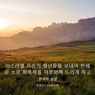 Picture 03 - 출애굽기 24:5 KOR - 이스라엘 자손의 청년들을 보내어 - Bible Verse Picture