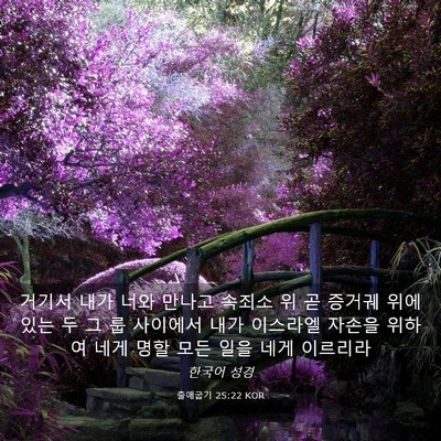 Picture 03 - 출애굽기 25:22 KOR - 거기서 내가 너와 만나고 속죄소 위 - Bible Verse Picture