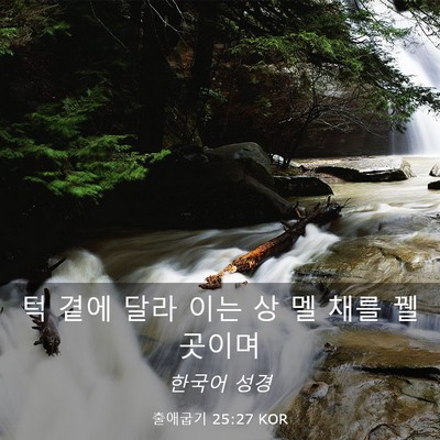 Picture 03 - 출애굽기 25:27 KOR - 턱 곁에 달라 이는 상 멜 채를 꿸 - Bible Verse Picture