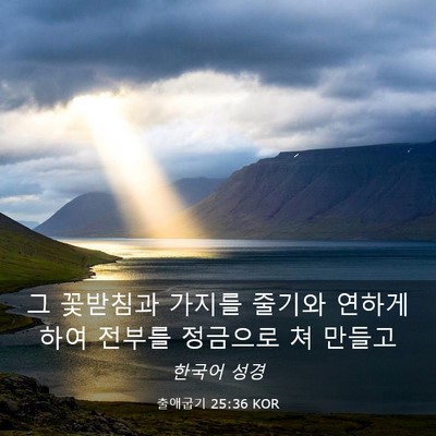 Picture 03 - 출애굽기 25:36 KOR - 그 꽃받침과 가지를 줄기와 연하게 - Bible Verse Picture
