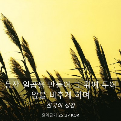 Picture 03 - 출애굽기 25:37 KOR - 등잔 일곱을 만들어 그 위에 두어 - Bible Verse Picture