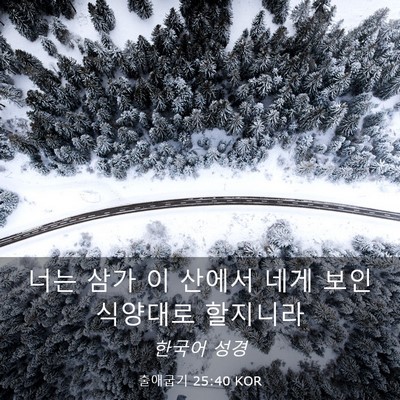 Picture 03 - 출애굽기 25:40 KOR - 너는 삼가 이 산에서 네게 보인 - Bible Verse Picture