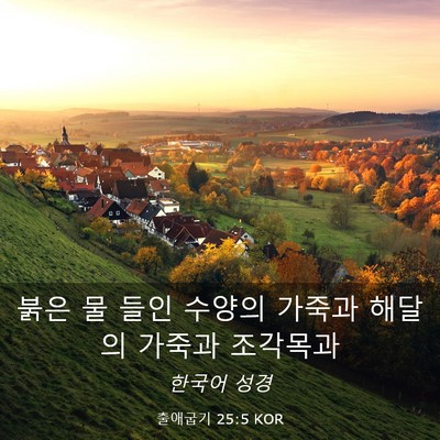 Picture 03 - 출애굽기 25:5 KOR - 붉은 물 들인 수양의 가죽과 해달의 - Bible Verse Picture