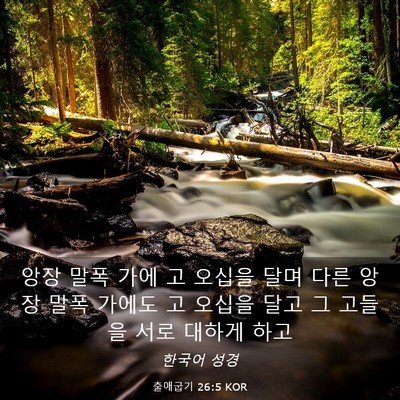 Picture 03 - 출애굽기 26:5 KOR - 앙장 말폭 가에 고 오십을 달며 다른 - Bible Verse Picture