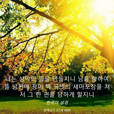 Picture 03 - 출애굽기 27:9 KOR - 너는 성막의 뜰을 만들지니 남을 - Bible Verse Picture