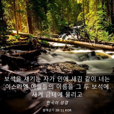 Picture 03 - 출애굽기 28:11 KOR - 보석을 새기는 자가 인에 새김 같이 - Bible Verse Picture