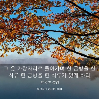 Picture 03 - 출애굽기 28:34 KOR - 그 옷 가장자리로 돌아가며 한 - Bible Verse Picture