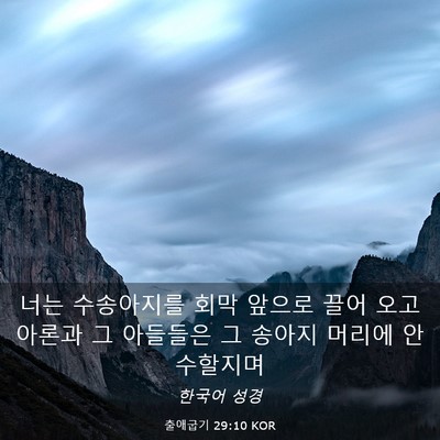 Picture 03 - 출애굽기 29:10 KOR - 너는 수송아지를 회막 앞으로 끌어 - Bible Verse Picture