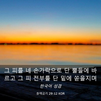 Picture 03 - 출애굽기 29:12 KOR - 그 피를 네 손가락으로 단 뿔들에 - Bible Verse Picture