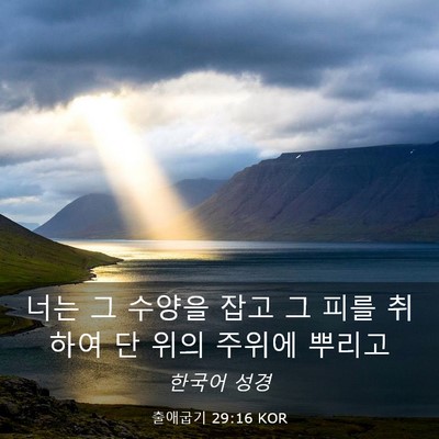 Picture 03 - 출애굽기 29:16 KOR - 너는 그 수양을 잡고 그 피를 취하여 - Bible Verse Picture