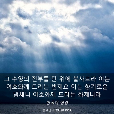Picture 03 - 출애굽기 29:18 KOR - 그 수양의 전부를 단 위에 불사르라 - Bible Verse Picture