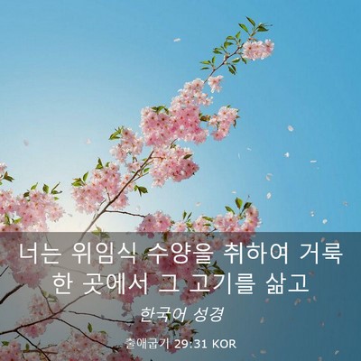 Picture 03 - 출애굽기 29:31 KOR - 너는 위임식 수양을 취하여 거룩한 - Bible Verse Picture