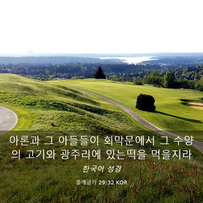 Picture 03 - 출애굽기 29:32 KOR - 아론과 그 아들들이 회막문에서 그 - Bible Verse Picture