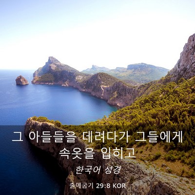 Picture 03 - 출애굽기 29:8 KOR - 그 아들들을 데려다가 그들에게 - Bible Verse Picture
