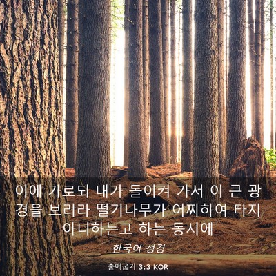 Picture 03 - 출애굽기 3:3 KOR - 이에 가로되 내가 돌이켜 가서 이 큰 - Bible Verse Picture