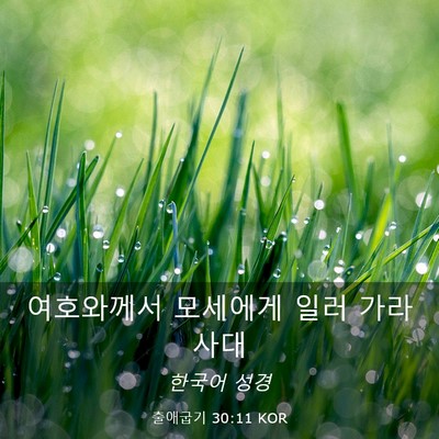 Picture 03 - 출애굽기 30:11 KOR - 여호와께서 모세에게 일러 - Bible Verse Picture