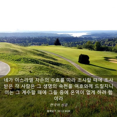 Picture 03 - 출애굽기 30:12 KOR - 네가 이스라엘 자손의 수효를 따라 - Bible Verse Picture