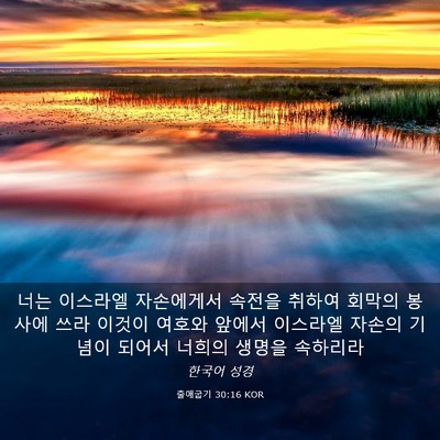 Picture 03 - 출애굽기 30:16 KOR - 너는 이스라엘 자손에게서 속전을 - Bible Verse Picture