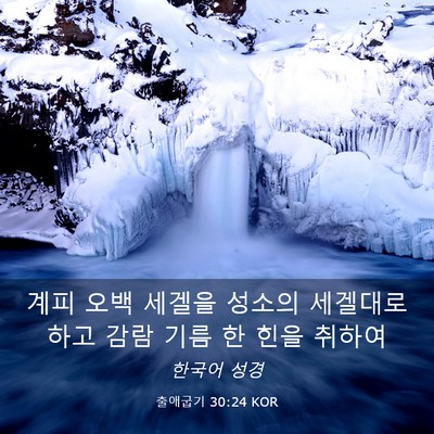 Picture 03 - 출애굽기 30:24 KOR - 계피 오백 세겔을 성소의 세겔대로 - Bible Verse Picture