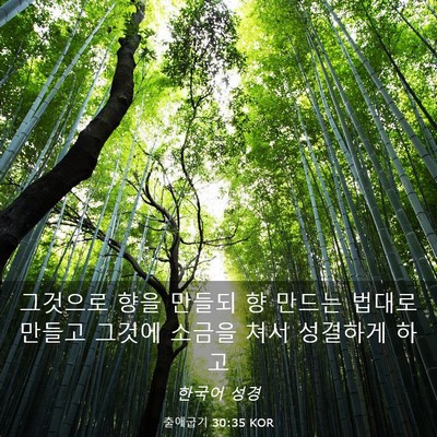 Picture 03 - 출애굽기 30:35 KOR - 그것으로 향을 만들되 향 만드는 - Bible Verse Picture