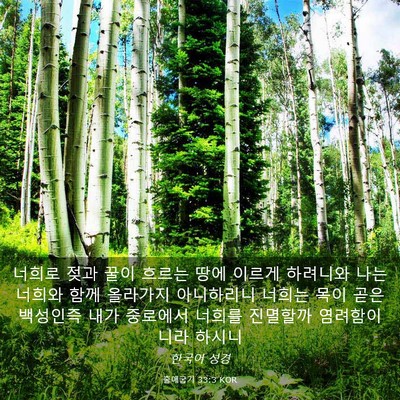 Picture 03 - 출애굽기 33:3 KOR - 너희로 젖과 꿀이 흐르는 땅에 - Bible Verse Picture