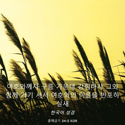 Picture 03 - 출애굽기 34:5 KOR - 여호와께서 구름 가운데 강림하사 - Bible Verse Picture