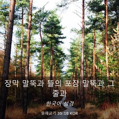 Picture 03 - 출애굽기 35:18 KOR - 장막 말뚝과 뜰의 포장 말뚝과 그 - Bible Verse Picture