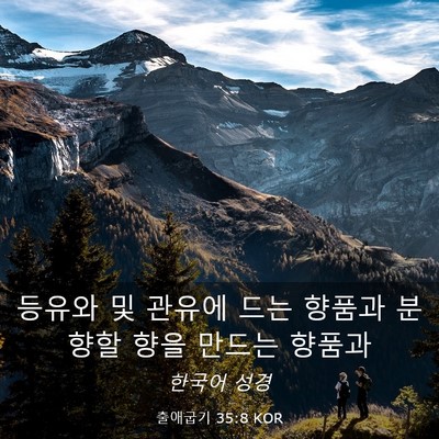 Picture 03 - 출애굽기 35:8 KOR - 등유와 및 관유에 드는 향품과 - Bible Verse Picture