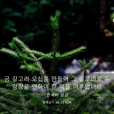 Picture 03 - 출애굽기 36:13 KOR - 금 갈고리 오십을 만들어 그 - Bible Verse Picture