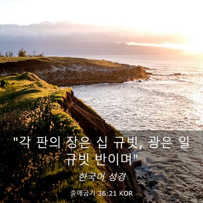 Picture 03 - 출애굽기 36:21 KOR - 