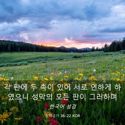 Picture 03 - 출애굽기 36:22 KOR - 각 판에 두 촉이 있어 서로 연하게 - Bible Verse Picture