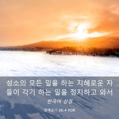 Picture 03 - 출애굽기 36:4 KOR - 성소의 모든 일을 하는 지혜로운 - Bible Verse Picture