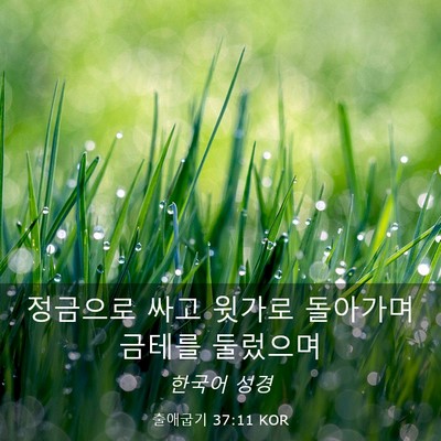 Picture 03 - 출애굽기 37:11 KOR - 정금으로 싸고 윗가로 돌아가며 - Bible Verse Picture